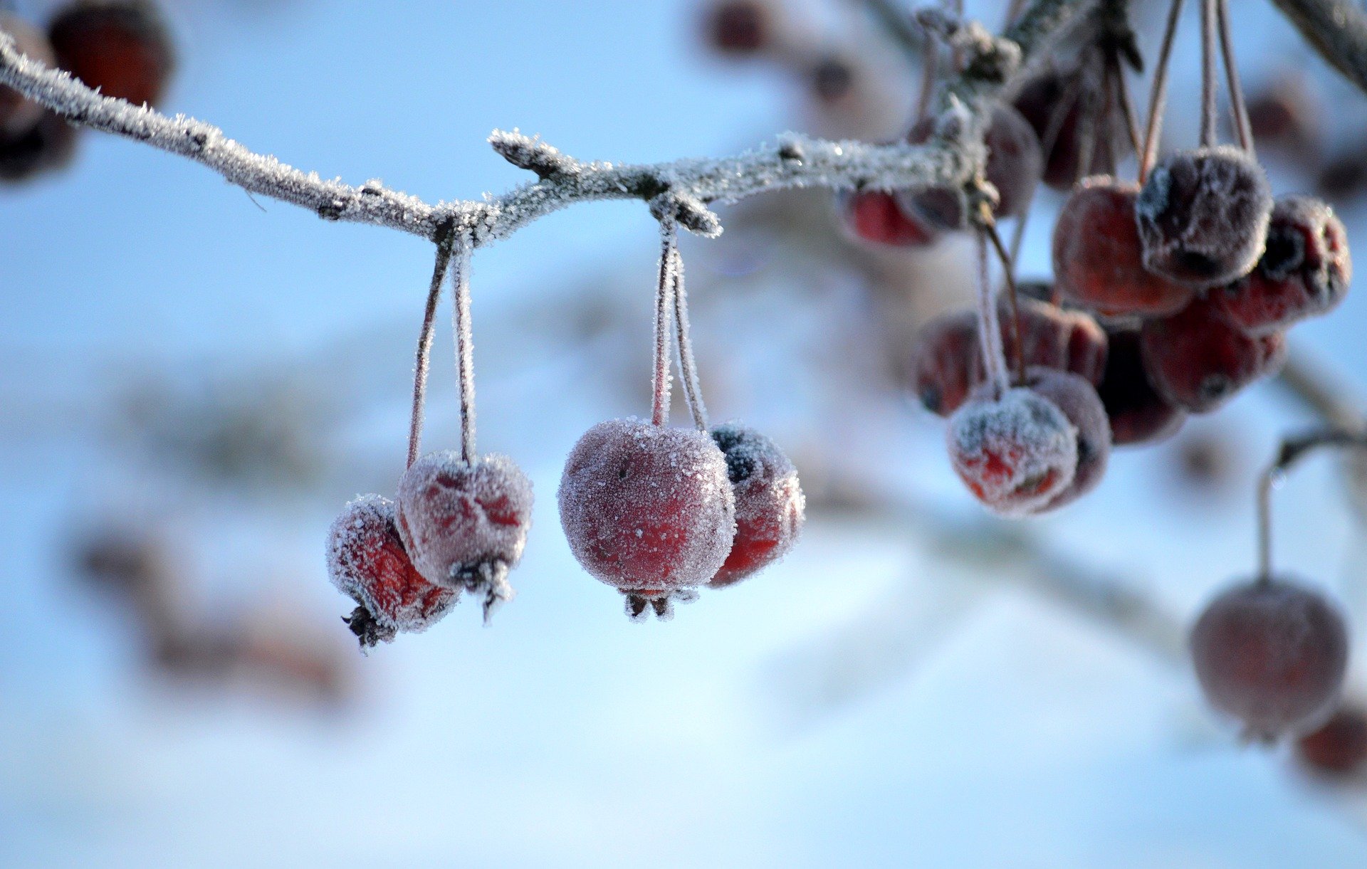 MyBatis 命名规范与映射规则详解